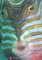 taken @ Ammo Jetty by Dave Baxter 